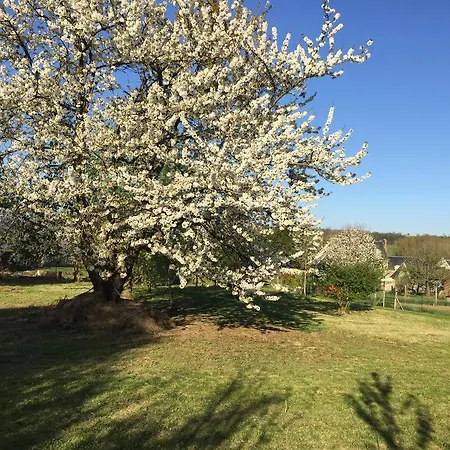 Casa La Palma Ii La Courmellette *